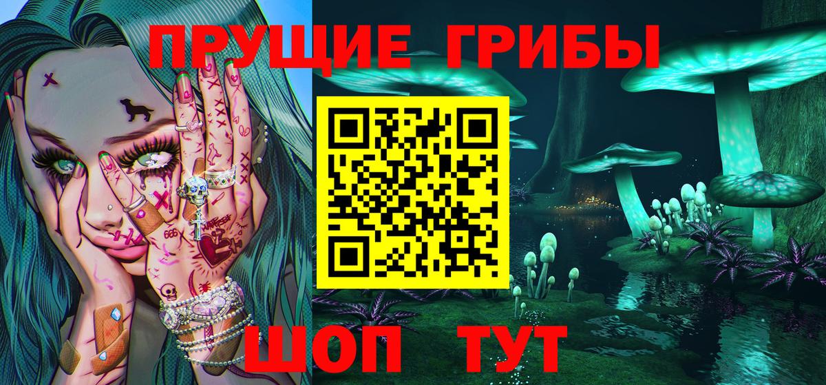 Галлюциногенные грибы Cubensis Серпухов