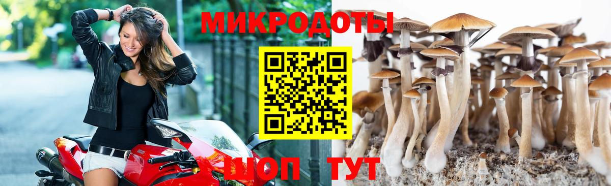 Галлюциногенные грибы мицелий  Галлюциногенные грибы MAGIC MUSHROOMS  Вход с VPN  цена   Серпухов 